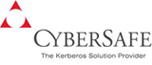 Conference silver sponsor: CyberSafe
